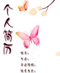 图片8