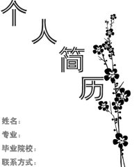 图片5