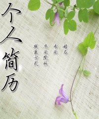 图片7