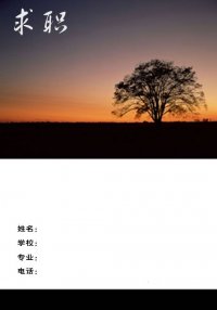 图片10